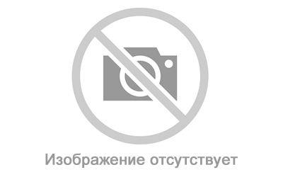 ����� ���� �������